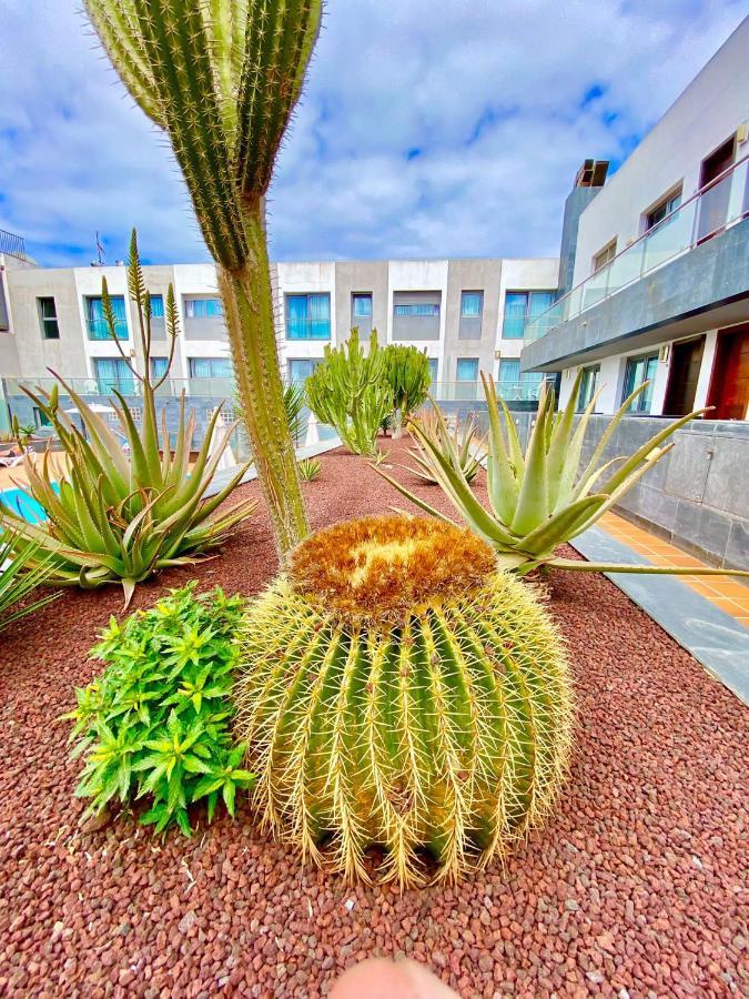 Mar De Fuerteventura 2 Leilighet Corralejo Eksteriør bilde